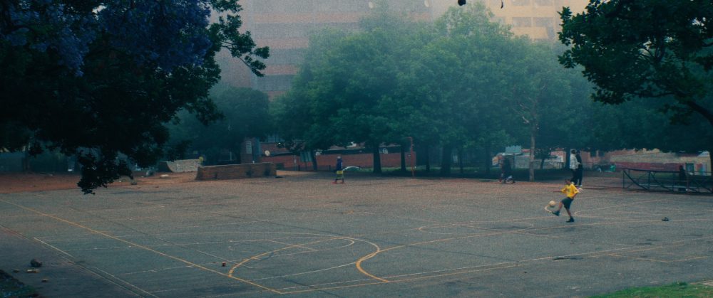 Still 2026-01-23 104216_1.3.1